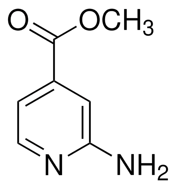 2-氨基异烟酸甲酯 97%