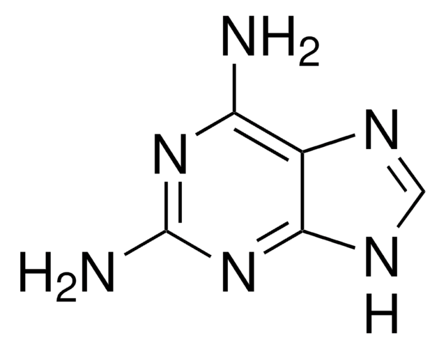 2,6-二氨基嘌呤 98%