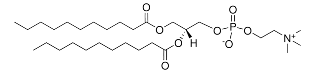 11:0 PC 1,2-diundecanoyl-sn-glycero-3-phosphocholine, powder