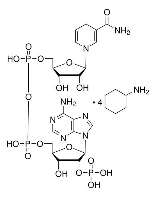 还原型 &#946;-烟酰胺腺嘌呤二核苷酸磷酸 四环己铵盐 &#8805;93%