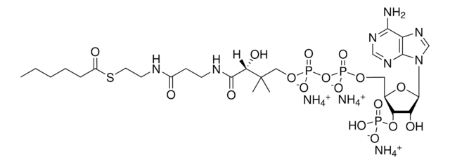 06:0 辅酶 A Avanti Polar Lipids 870706P, powder