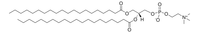 20:0 PC 1,2-diarachidoyl-sn-glycero-3-phosphocholine, chloroform