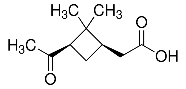 cis-Pinonic acid 98%