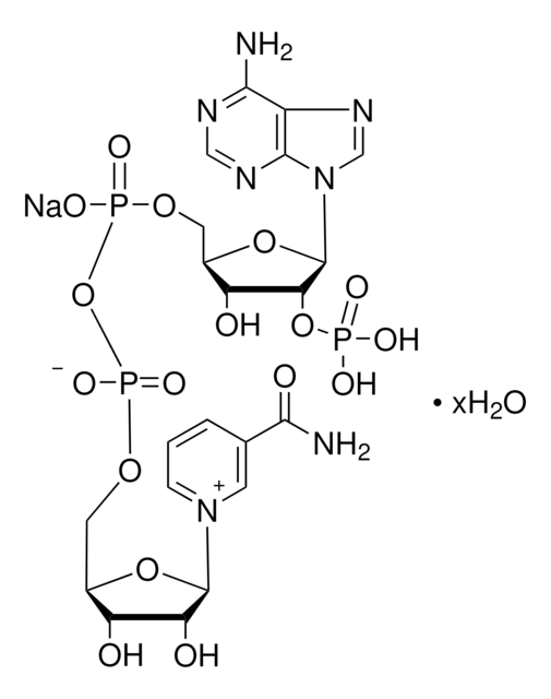 &#946;-烟酰胺腺嘌呤二核苷酸磷酸 钠盐 pkg of 5&#160;mg (per vial)