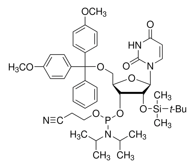 DMT-2&#8242;O-TBDMS-rU 亚磷酰胺 configured for ABI