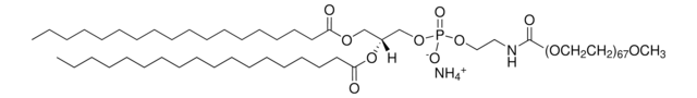 18:0 PEG3000 PE Avanti Polar Lipids 880320C