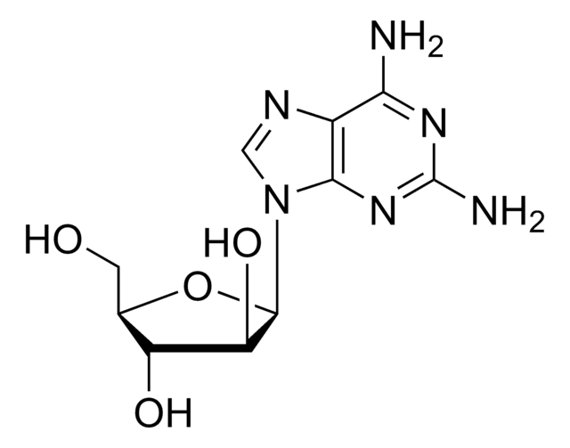 2,6-Diaminopurine-9-arabinoside 97%