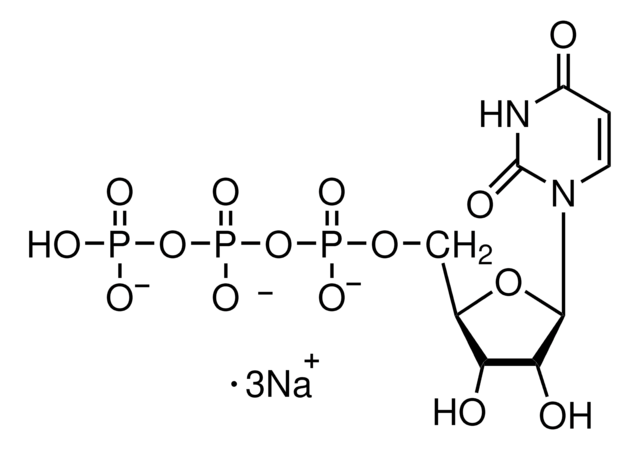 Uridine 5&#8242;-triphosphate trisodium salt hydrate from yeast, Type III, &#8805;96%