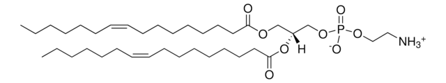 16:1 PE 1,2-dipalmitoleoyl-sn-glycero-3-phosphoethanolamine, chloroform