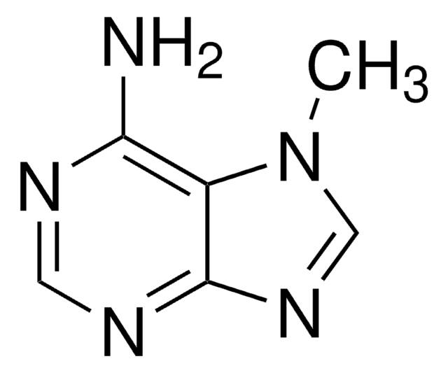 7-Methyladenine 97%