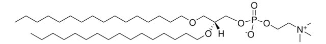 16:0 Diether PC Avanti Polar Lipids 999992P, powder