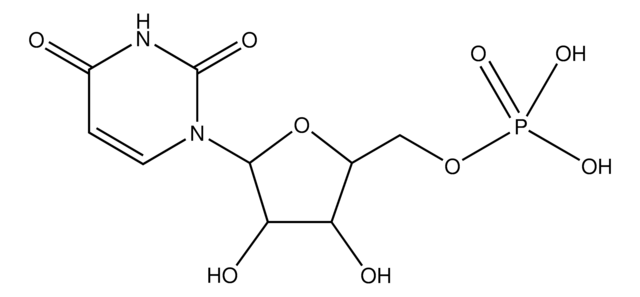 尿苷5-单磷酸 &#8805;98%