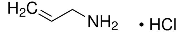 Allylamine hydrochloride 98%