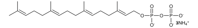 Geranylgeranyl pyrophosphate ammonium salt solution, &#8805;95% (TLC), ~1&#160;mg/mL in methanol: NH4OH (7:3)