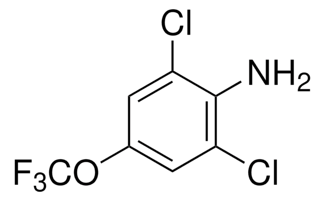 2,6-二氯-4-(三氟甲氧基)苯胺 96%