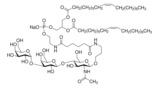 FSL-Galili(tri)