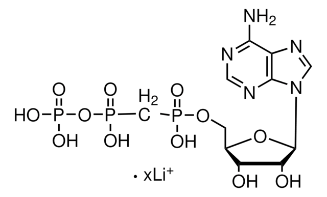 &#945;,&#946;-methylene ATP