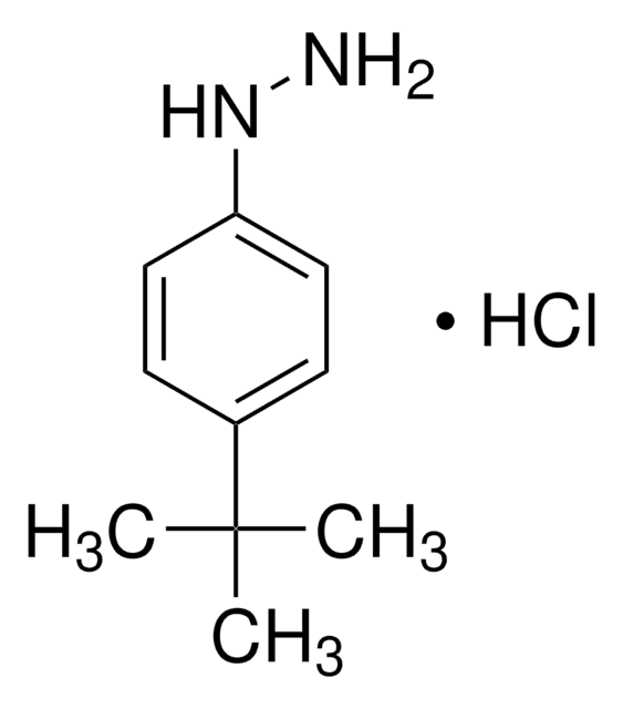 4-叔丁基苯肼 单盐酸盐