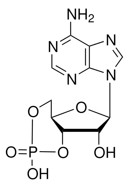 腺苷-3′,5′-环单磷酸 &#8805;98.5% (HPLC), powder