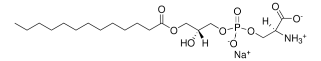 13:0 Lyso PS 1-tridecanoyl-sn-glycero-3-phospho-L-serine (sodium salt), powder
