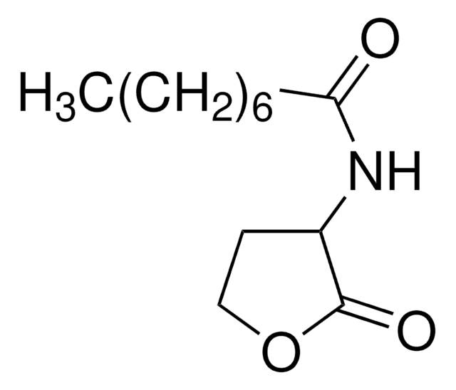 N-Octanoyl-DL-homoserine lactone &#8805;97.0% (HPLC)