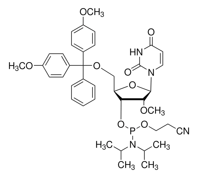 DMT-2&#8242;O-Methyl-rU Phosphoramidite configured for ABI