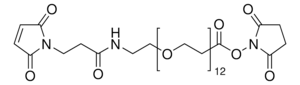 Maleimide-PEG12-succinimidyl ester