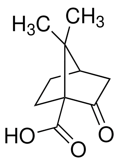 (1S)-(+)-Ketopinic acid 99%