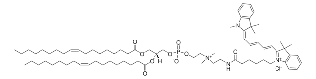 18:1 Cy5 PC Avanti Polar Lipids