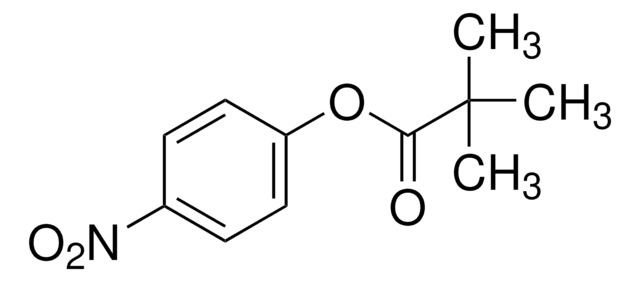 三甲基乙酸对硝基苯酯 98%