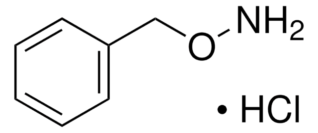 O-苄基羟胺 盐酸盐 99%
