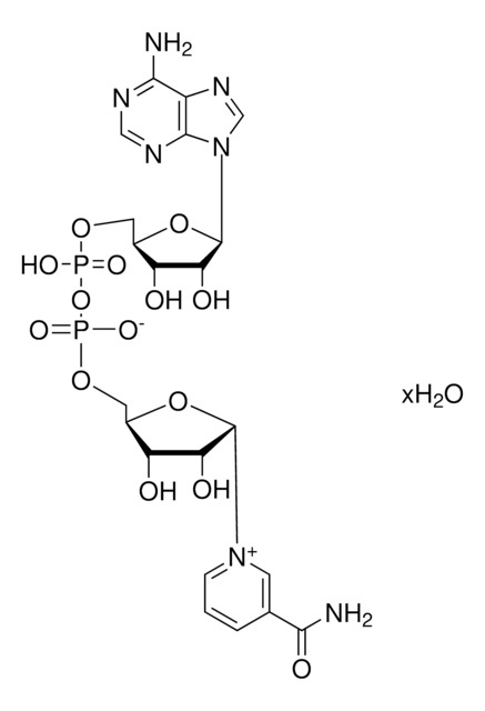 &#946;-Nicotinamide adenine dinucleotide hydrate Grade AA-1