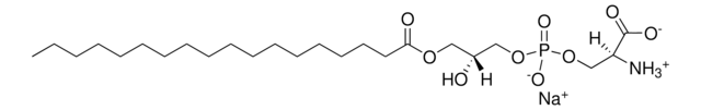 18:0 Lyso PS 1-stearoyl-2-hydroxy-sn-glycero-3-phospho-L-serine (sodium salt), powder