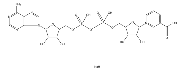 Nicotinic acid adenine dinucleotide sodium salt &#8805;98%