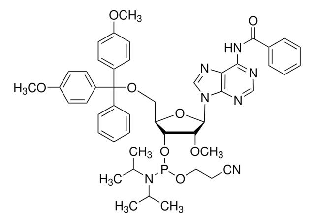 DMT-2&#8242;O-Methyl-rA(bz) 磷酰胺 configured for MerMade