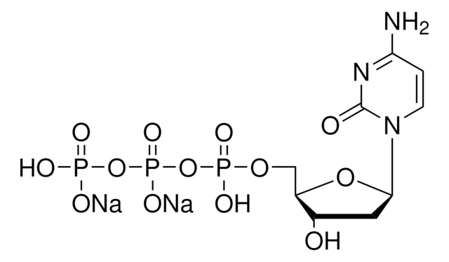 2&#8242;-Deoxycytidine 5&#8242;-triphosphate disodium salt 100&#160;mM (pH 7)