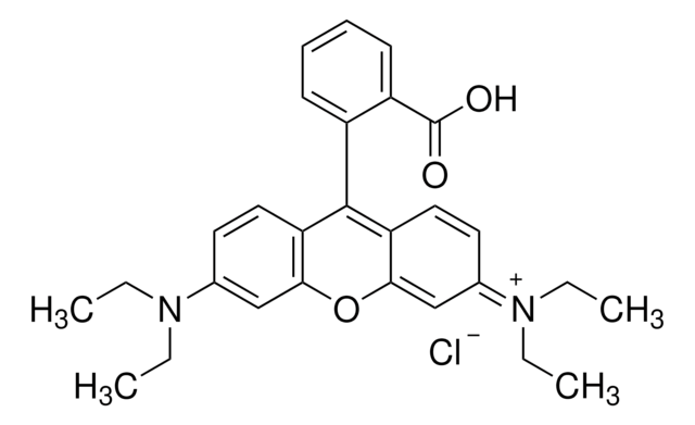 Rhodamine B for fluorescence
