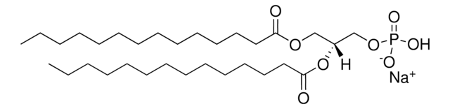 14:0 PA 1,2-dimyristoyl-sn-glycero-3-phosphate (sodium salt), powder