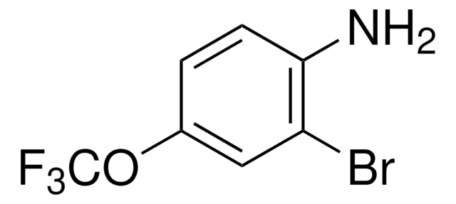 2-溴-4-(三氟甲氧基)苯胺 98%