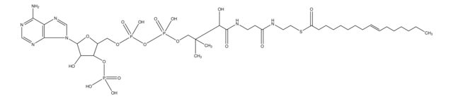 Palmitoleoyl coenzyme A lithium salt ~90%