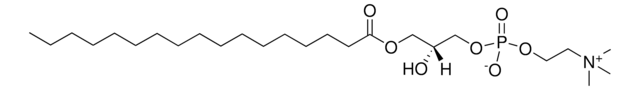 17:0 Lyso PC Avanti Polar Lipids