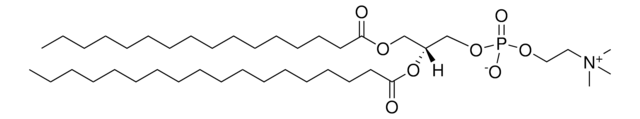氢化磷脂酰胆碱 Avanti Polar Lipids