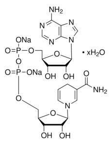 β-Nicotinamide adenine dinucleotide, reduced disodium salt hydrate ≥97% (HPLC)