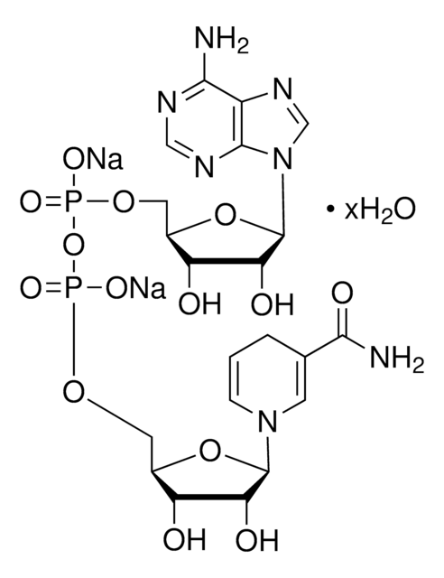 还原型 &#946;-烟酰胺腺嘌呤二核苷酸 二钠盐 水合物 &#8805;94% (HPLC)