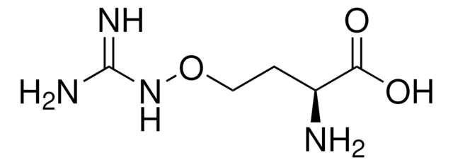 L-刀豆氨酸 &#8805;98% (TLC), powder, from Canavalia ensiformis