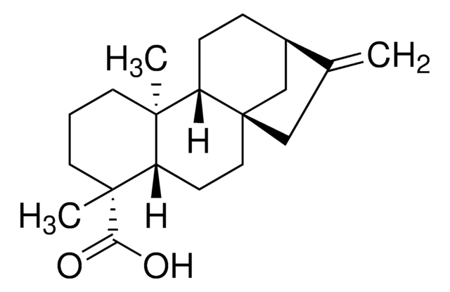 Kaurenoic acid &#8805;95% (LC/MS-ELSD)