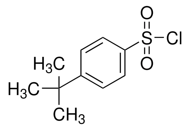 4-tert-Butylbenzenesulfonyl chloride 98%