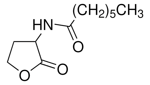 N-Heptanoyl-DL-homoserine lactone &#8805;97.0% (HPLC)