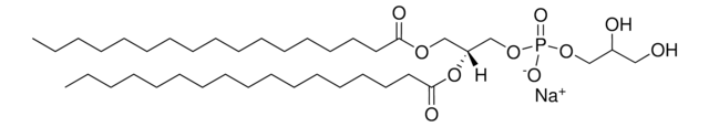 17:0 PG 1,2-diheptadecanoyl-sn-glycero-3-phospho-(1&#8242;-rac-glycerol) (sodium salt), powder