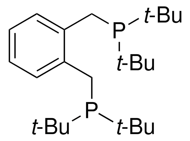 1,2-双(二叔丁基膦甲基)苯